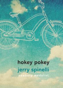 Hokey Pokey Hokey Pokey