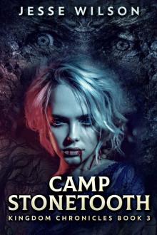 Camp Stonetooth (Kingdom Chronicles Book 3)