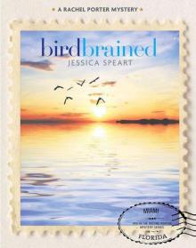 Bird Brained Bird Brained
