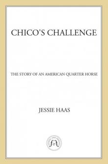 Chico's Challenge