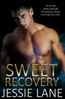 Sweet Recovery (Ex Ops Series Book 4)