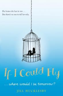 If I Could Fly