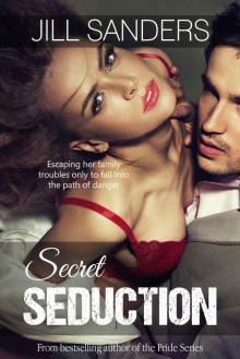 Secret Seduction (Secret Series Romance Novels) Secret Seduction (Secret Series Romance Novels)