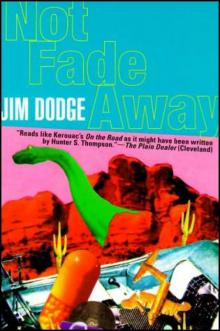 Not Fade Away Not Fade Away