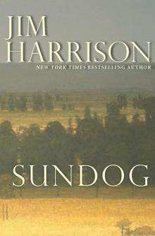 Sundog (Contemporary Classics)