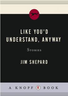 Like You'd Understand, Anyway