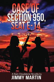 The Case of Section 950, Seat E-14
