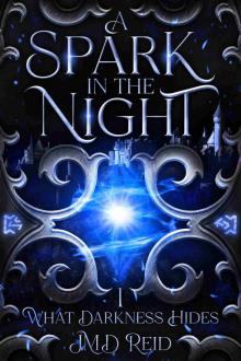 A Spark in the Night: A Gripping Dark Fantasy Tale (What Darkness Hides Book 1)