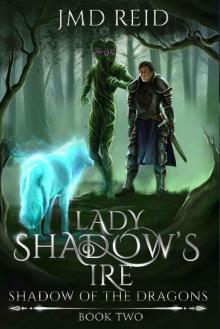 Lady Shadow's Ire (Shadow of the Dragons Book 2)