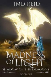 Madness of Light (Shadow of the Dragons Book 6)
