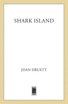 Shark Island