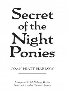 Secret of the Night Ponies