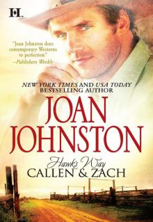Hawk's Way: Callen & Zach Hawk's Way: Callen & Zach