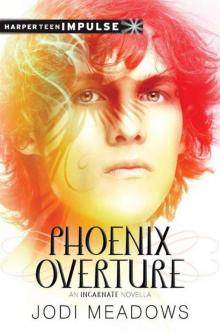 Phoenix Overture (newsoul) Phoenix Overture (newsoul)
