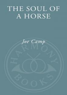 The Soul of a Horse
