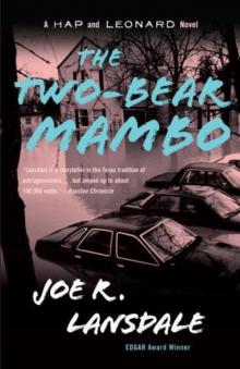 The Two-Bear Mambo cap-3 The Two-Bear Mambo cap-3