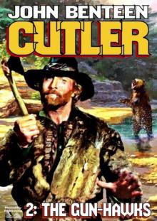 The Gunhawks (Cutler Western #2) The Gunhawks (Cutler Western #2)