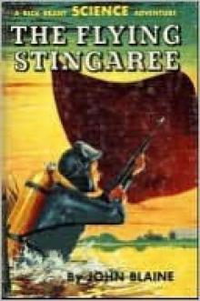 The Flying Stingaree