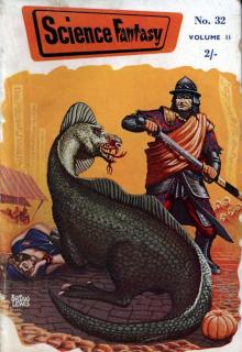 City of The Tiger (Novella)