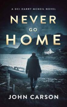 Never Go Home (A DCI Harry McNeil Crime Thriller Book 15)