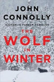 The Wolf in Winter (2014)