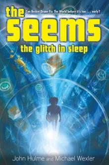 The Glitch in Sleep The Glitch in Sleep