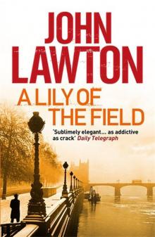 A Lily of the Field