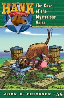 The Case of the Mysterious Voice The Case of the Mysterious Voice