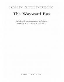 The Wayward Bus