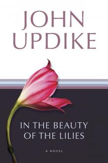 In the Beauty of the Lilies In the Beauty of the Lilies