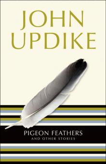 Pigeon Feathers Pigeon Feathers
