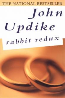 Rabbit Redux r-2