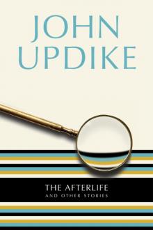 The Afterlife The Afterlife