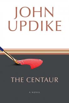 The Centaur: A Novel The Centaur: A Novel