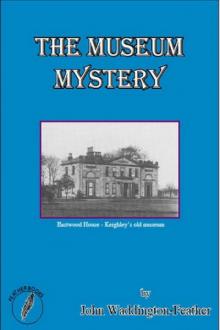 1 The Museum Mystery 1 The Museum Mystery