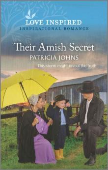 Their Amish Secret (Amish Country Matches)