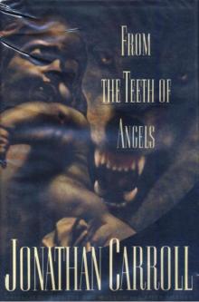 From the Teeth of Angels