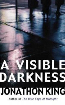 A Visible Darkness mf-2