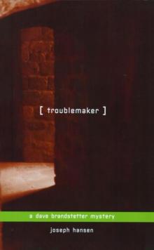 Dave Brandstetter 3 - Troublemaker