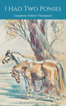 I Had Two Ponies