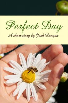 Perfect Day Perfect Day