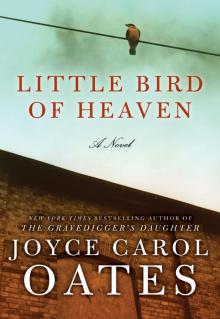 Little Bird of Heaven Little Bird of Heaven