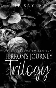 Ferron's Journey Trilogy: MM suspense romance (The Playroom)