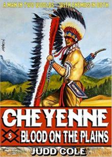 Blood on the Plains (A Cheyenne Western Book 5) Blood on the Plains (A Cheyenne Western Book 5)