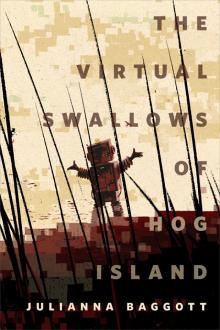 The Virtual Swallows of Hog Island The Virtual Swallows of Hog Island