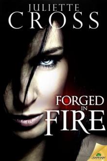 Forged in Fire Forged in Fire