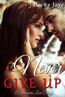 Never Give Up (A Billionaire Love Story) Never Give Up (A Billionaire Love Story)