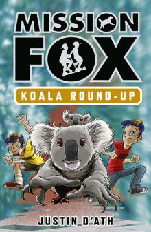 Koala Roundup