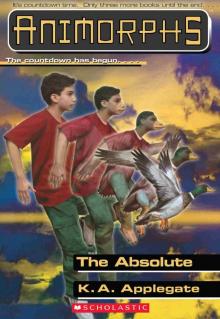 The Absolute
