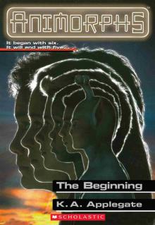 The Beginning